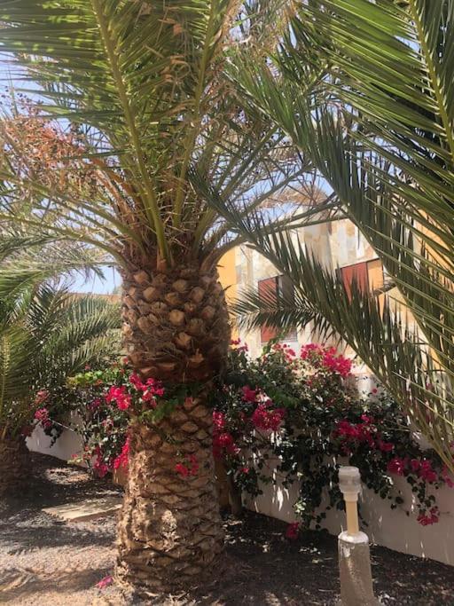 코스타 데 안티과 Cheers On Fuerteventura 아파트 외부 사진